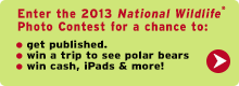 Enter the 2013 photo contest today!